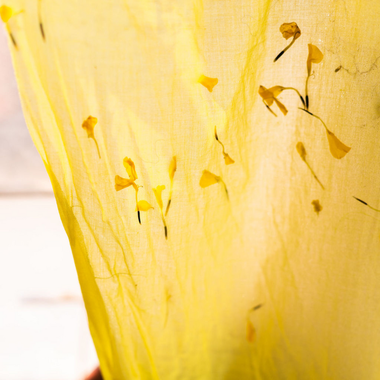 Petals to Fabric