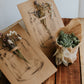 TFS x Farog – Blossom in a Jar: Dried Flower Postcard