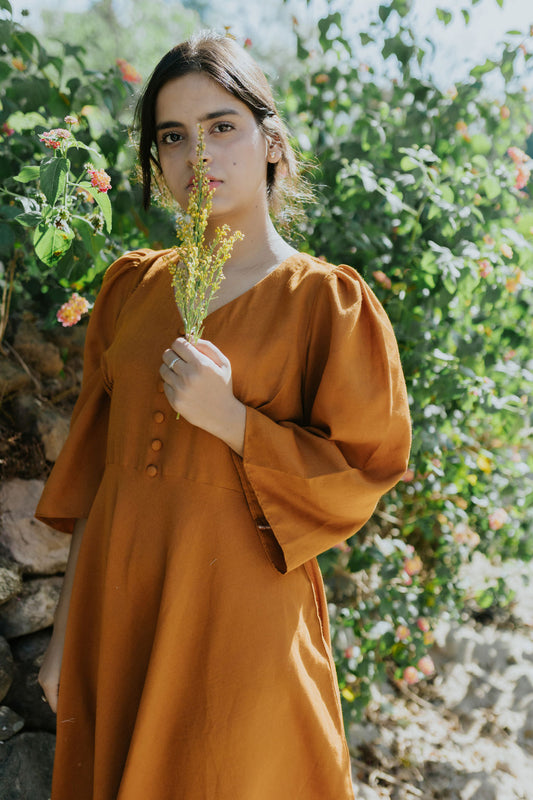 Country Comfort Dress